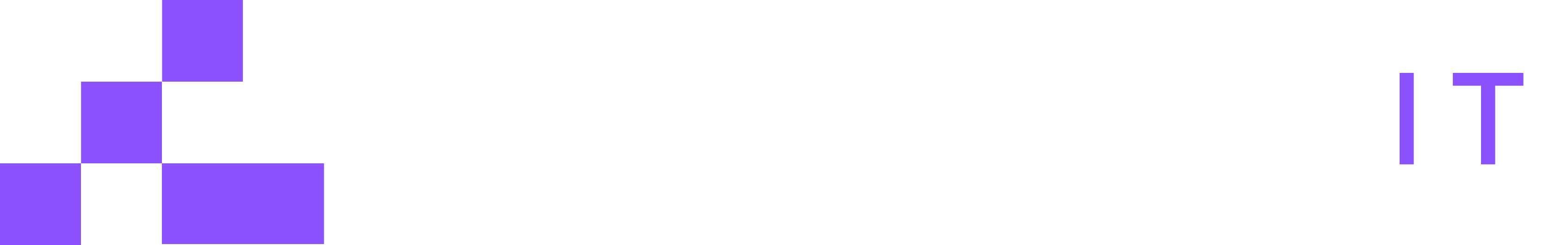 NextPoint IT